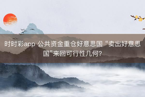 时时彩app 公共资金重仓好意思国 “卖出好意思国”来回可行性几何？