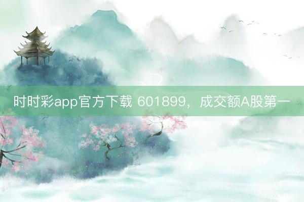 时时彩app官方下载 601899，成交额A股第一