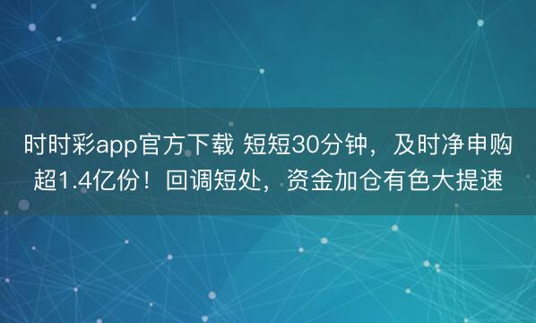时时彩app官方下载 短短30分钟，及时净申购超1.4亿份！回调短处，资金加仓有色大提速