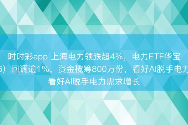 时时彩app 上海电力领跌超4%，电力ETF华宝（159146）回调逾1%，资金揽筹800万份，看好AI脱手电力需求增长