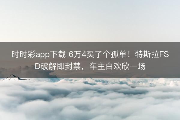 时时彩app下载 6万4买了个孤单！特斯拉FSD破解即封禁，车主白欢欣一场
