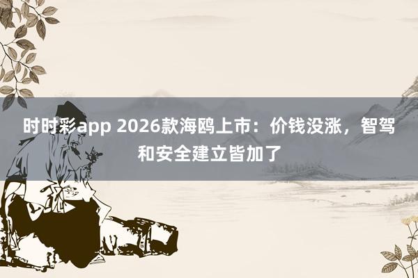 时时彩app 2026款海鸥上市：价钱没涨，智驾和安全建立皆加了