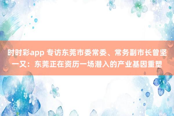 时时彩app 专访东莞市委常委、常务副市长曾坚一又：东莞正在资历一场潜入的产业基因重塑