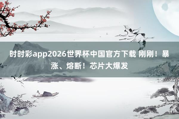 时时彩app2026世界杯中国官方下载 刚刚!暴涨、熔断!芯片大爆发