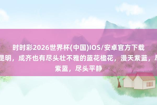 时时彩2026世界杯(中国)IOS/安卓官方下载 不必去昆明，成齐也有尽头壮不雅的蓝花楹花，漫天紫蓝，尽头平静