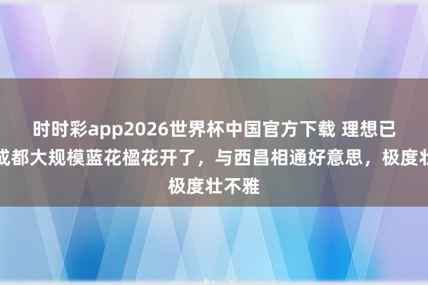 时时彩app2026世界杯中国官方下载 理想已久，成都大规模蓝花楹花开了，与西昌相通好意思，极度壮不雅