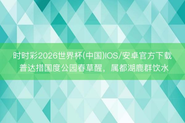 时时彩2026世界杯(中国)IOS/安卓官方下载 普达措国度公园春草醒,属都湖鹿群饮水
