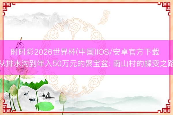 时时彩2026世界杯(中国)IOS/安卓官方下载 从排水沟到年入50万元的聚宝盆: 南山村的蝶变之路