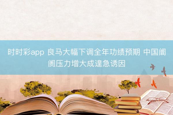 时时彩app 良马大幅下调全年功绩预期 中国阛阓压力增大成遑急诱因